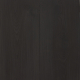 Saddle Black